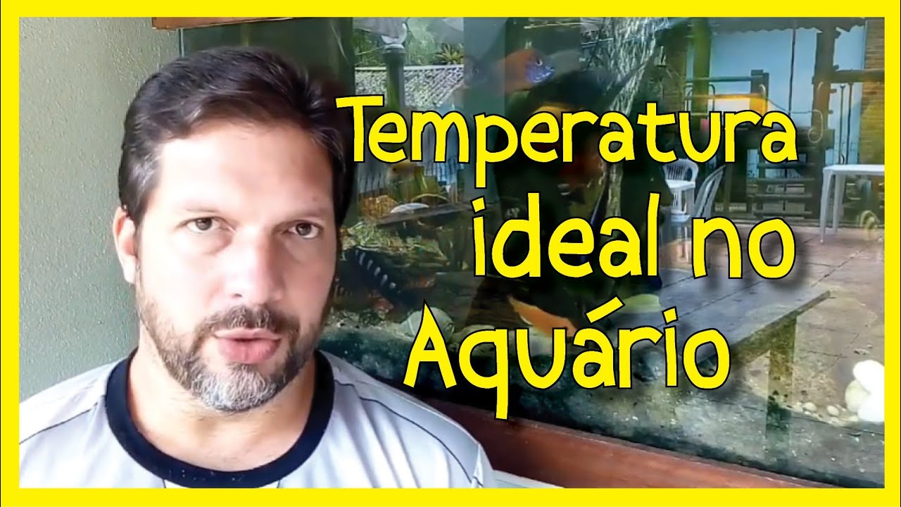 TEMPERATURA ideal no AQUÁRIO