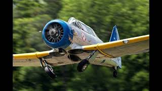 Close View of the SNJ Texan owned by the Military Aviation Museum