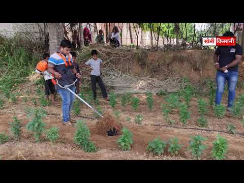 एक ही मशीन में सब Power Tiller / Grass Trimmer / Reaper सभी फसलो को काटे खर्च 50 रु प्रति बीघा