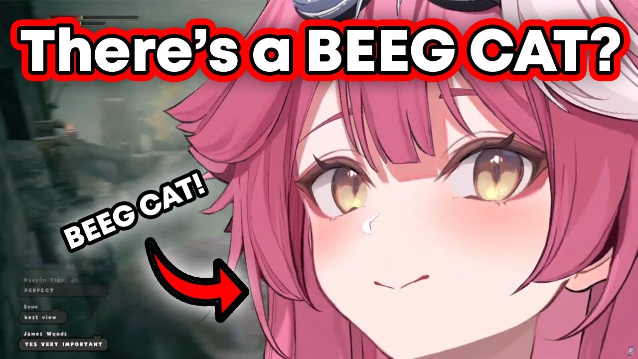 𝗥𝗮𝗼𝗿𝗮, 𝘁𝗵𝗲𝗿𝗲'𝘀 𝗮 𝗕𝗘𝗘𝗚 𝗖𝗔𝗧 𝗼𝗻 𝘆𝗼𝘂𝗿 𝘀𝗰𝗿𝗲𝗲𝗻!【Hololive EN】