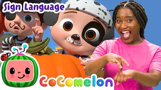 pumpkin patch cocomelon asl sign language babies