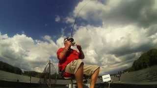 huge monster shellcracker slab St. Johns River Florida Volusia  county