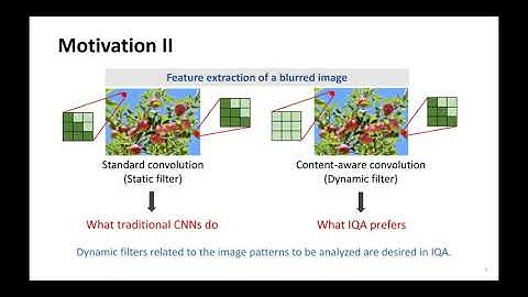 No-Reference Image Quality Assessment Using Dynamic Complex-Valued Neural Model