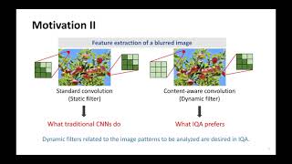 No-Reference Image Quality Assessment Using Dynamic Complex-Valued Neural Model