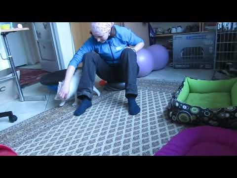 Fit to Be FUNtastic with Groot the German Spitz Puppy