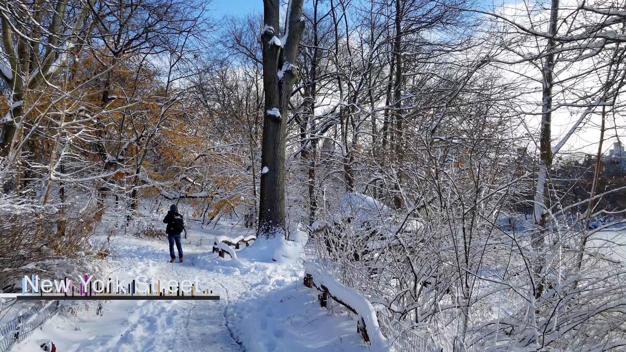 Winter Snow, Spring, Summer & Fall — Four Seasons of Central Park Walks in NYC January 24 2026