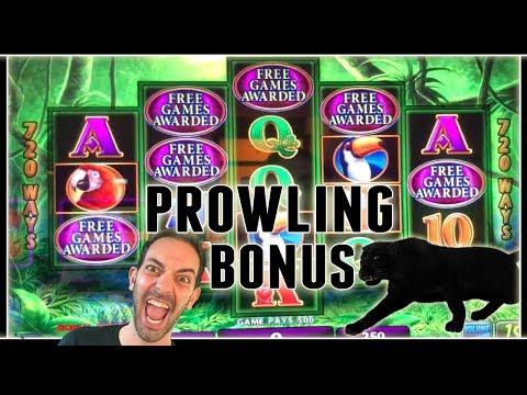 🎉🙀 Prowling Panther BONUS 🐈 + Many MORE! ✦ Slot Machine Pokies w Brian Christopher