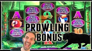 🎉🙀 مكافأة النمر المتجول 🐈 + المزيد! ✦ ماكينات القمار مع برايان كريستوفر screenshot 4