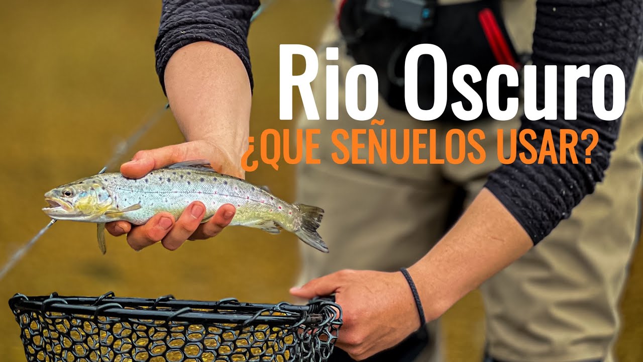 PESCANDO TRUCHAS EN RIO OSCURO - REGION DE LOS RIOS - PESCA UL #trucha #fishingvideo #fish