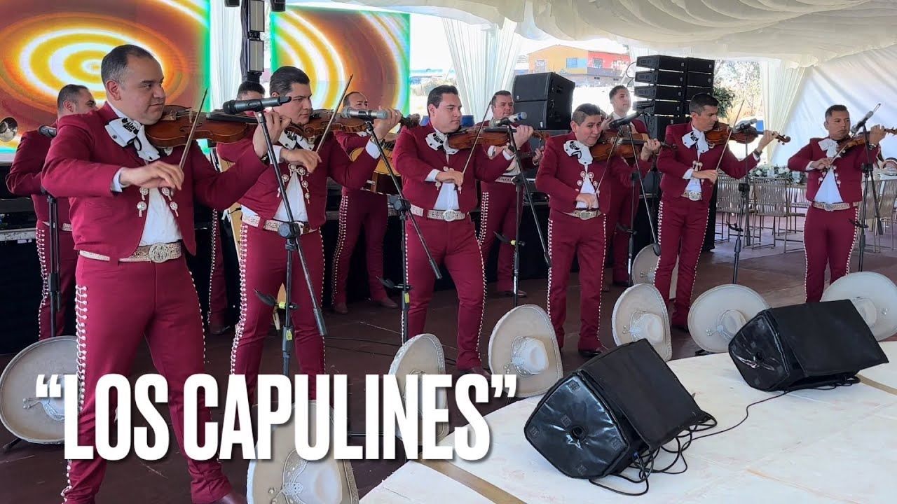 Mariachi Alas De México  -  Son de los Capulines