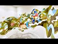 Chronicle/Propolife﻿ Office Mural