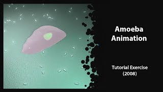 Archives - Amoeba Animation