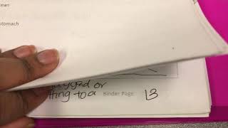 Biology Binder Organization