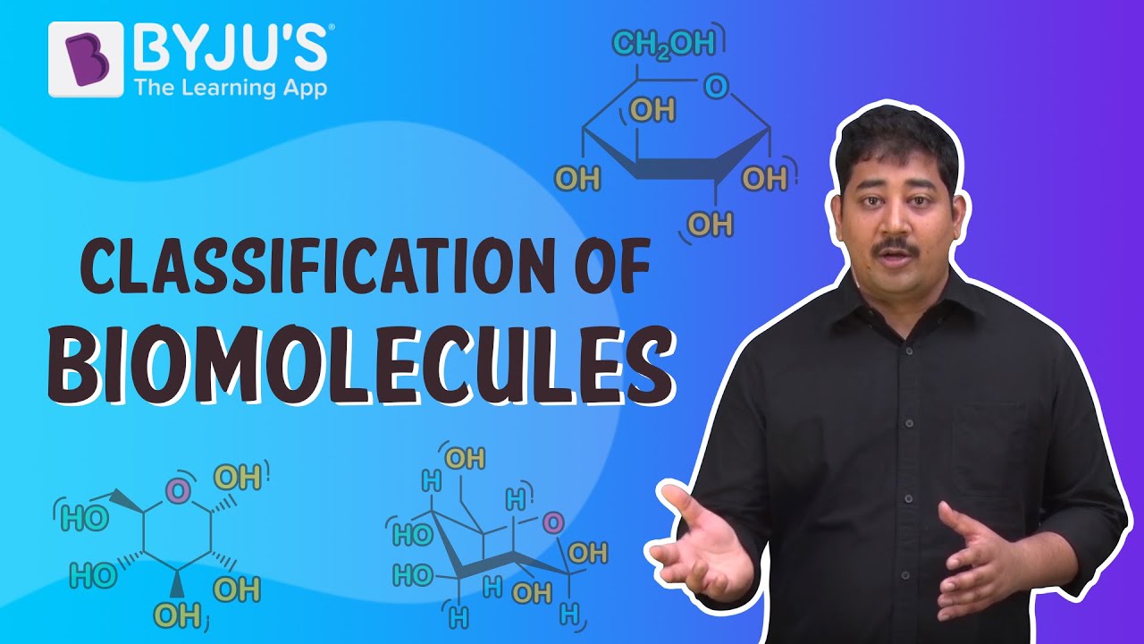 importance of biomolecules in our body