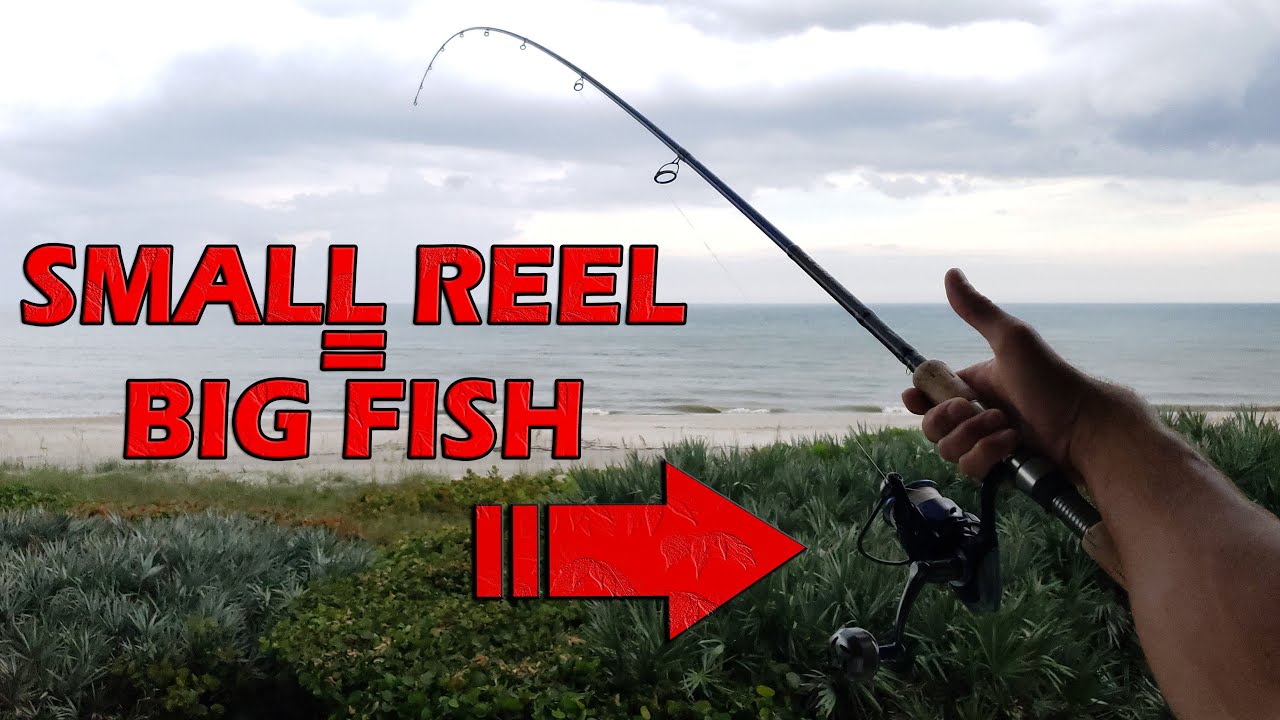 This Small Fishing Reel Catches BIG Fish! 