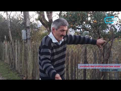 \"გააზიარე შენი სოფლის რეალური ამბები\" -   ქანთარიების უბნის პრობლემები ზემო აკეთში