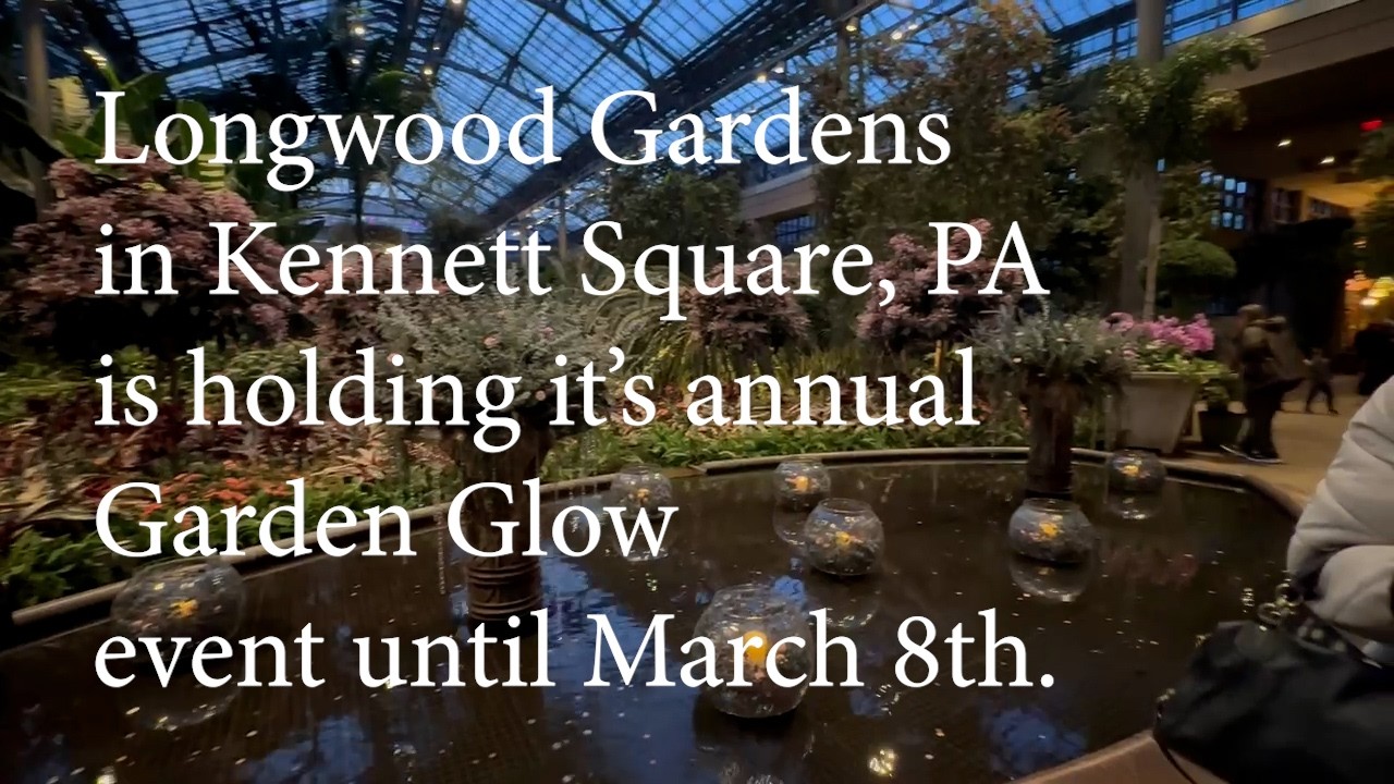 Escape Cabin Fever at Longwood Gardens | Winter Light Show Tour 2026