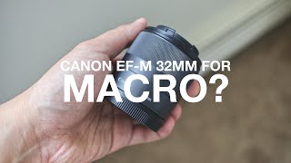 Canon EF-M 32mm f1.4 for Macro // Canon M50