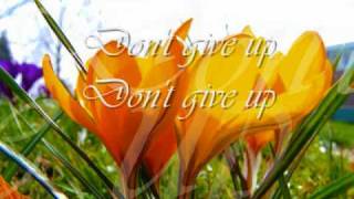 Roch Voisine -  Don't Give Up chords