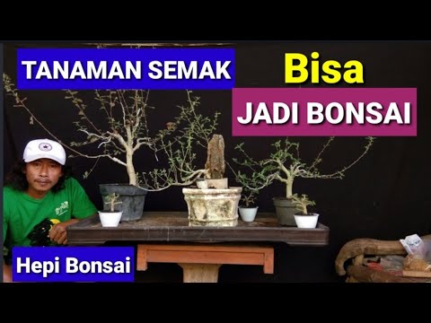 Video: Penggantian Yang Lumayan