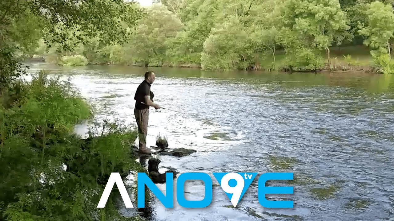 MOLLAMONOS COA PESCA - O CONCURSO DO SALMÓN DO ULLA 🐟