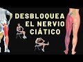 Desbloqueo del nervio ciático/ movilización neuromeningea