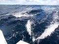 Sailing SY Ondine, Balance 526 in the North Atlantic