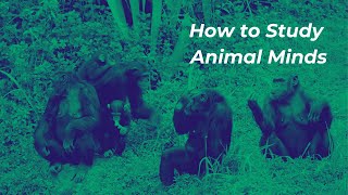 Unlocking The Secrets Of Animal Minds | ONsite Wealth