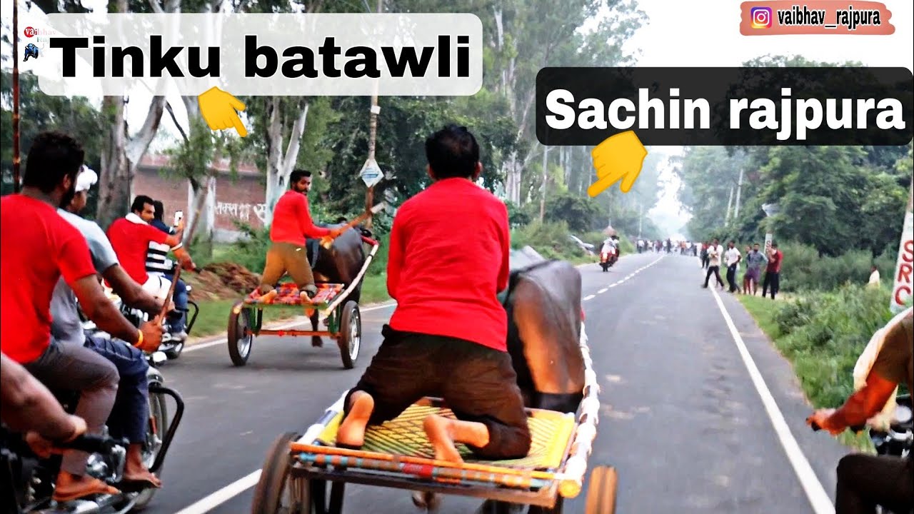 Jhota race  Tinku batawli vs Sachin rajpura  700 meter  tinku winner  Asifabad road