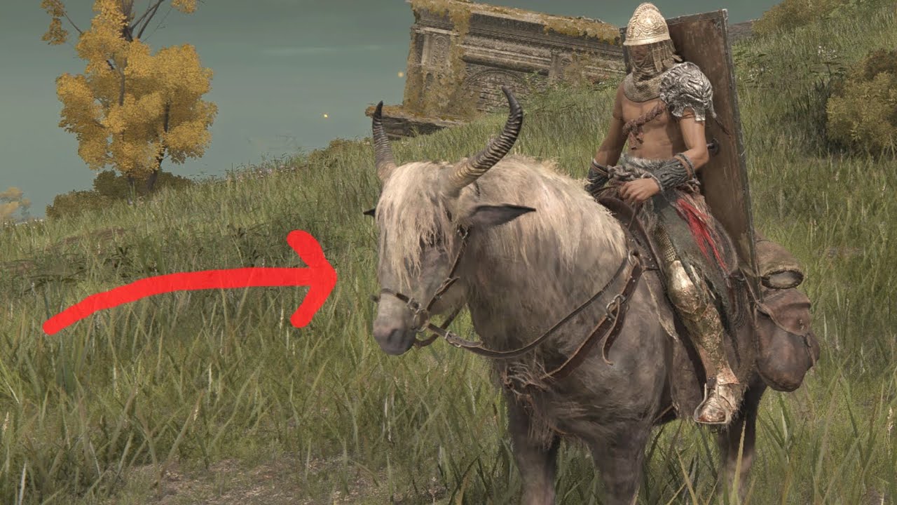 Elden Ring how to get horse YouTube