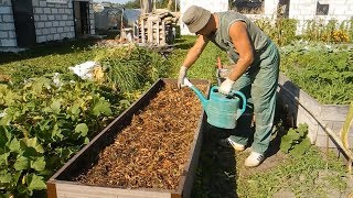 Высокие грядки за безделицу,для выращивания шампиньонов