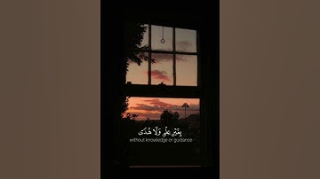 الم تروا ان الله سخر لكم مافي السموات ومافي الارض / اسلام صبحي / سوره لقمان