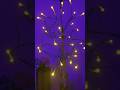 "DIY LED Light Tree 🌟 | Room Decor Idea | Budget Friendly Lights Decoration"