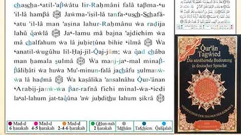 ختمة من مصحف التجويد باللغة الألمانية الصفحة رقم 319
