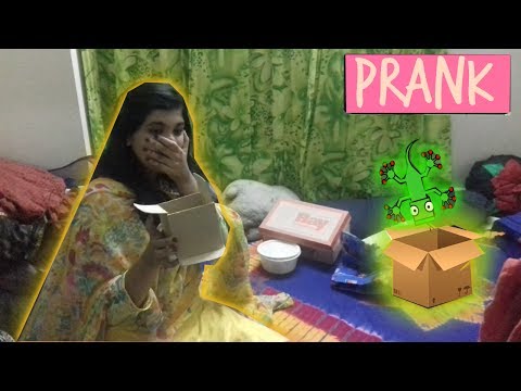insane"lizard"as-a-birthday-gift-prank-to-sister