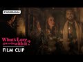 Rahat Fateh Ali Khan in WHAT'S LOVE GOT TO DO WITH IT?