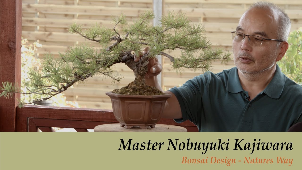 Bonsai Masterclass Bonsai Trees Design Natures Way with Master Nobuyuki Kajiwara 179 YouTube