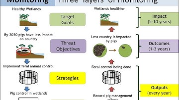 08   Implementation Monitoring & Work plan