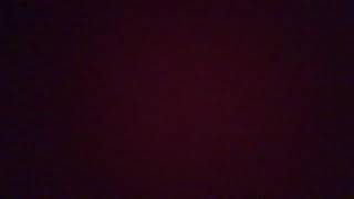 Belly Gurgles And Rumbles For Days