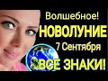 ВОЛШЕБНОЕ! НОВОЛУНИЕ 7 СЕНТЯБРЯ 2021/ НОВОЛУНИЕ В ДЕВЕ 07 Сентября 2021 от OLGA STELLA