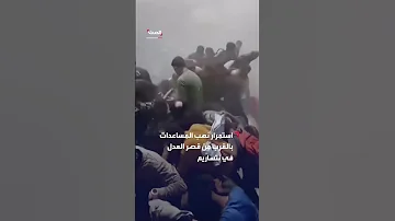 استمرار نهب المساعدات بالقرب من قصر العدل في نتساريم بقطاع غزة 