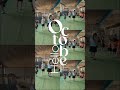 Volunteer in Thailand-PEFF Foundation