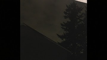 Days to Waste | Avenues
