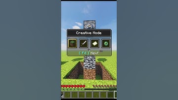 bedrock logic in Minecraft #shorts