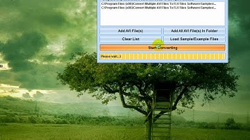 How To Use Convert Multiple AVI Files To FLV Files Software