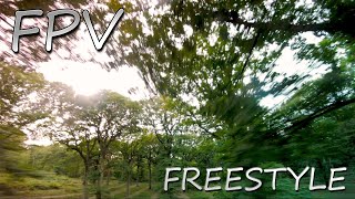 DANCE WITH THE TREES - FPV (re-upload)