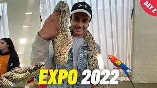 EXPO CENTRE KARACHI 2022 | DALFA CATTLE SHOW | VLOG