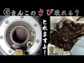 【ゼファー】タンクのサビ取りは花咲Gさん一択！！【レストア】