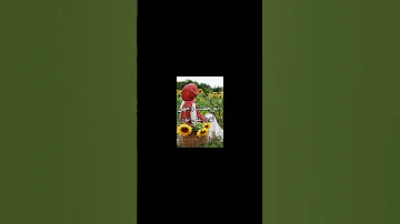 شعر قصيدة حجاب مؤثر Shorts مقطع من قصيدة مؤثرة عن الحجاب بعنوان كنز لا يفنى 