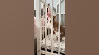 First she went in and then she wondered how to get out 🤣❤️